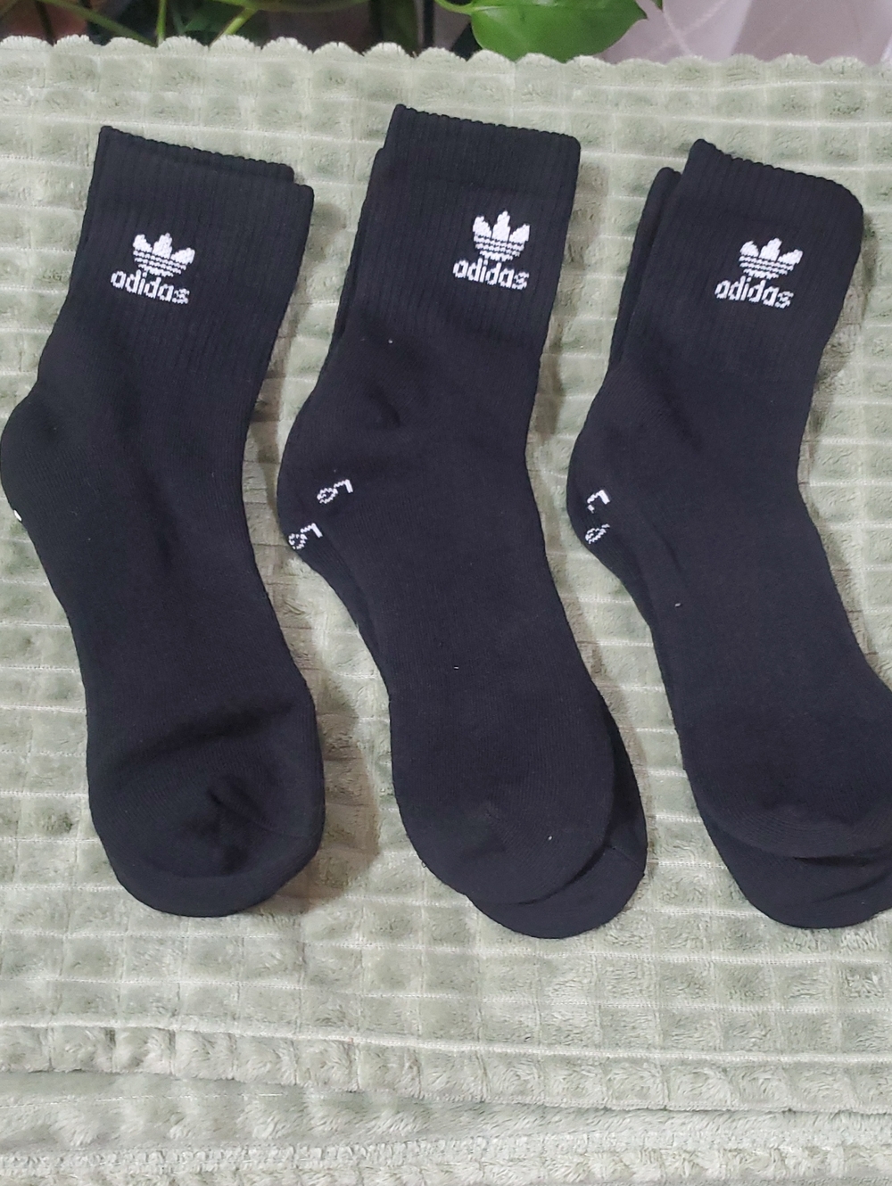 adidas Black Crew Athletic Socks with White Trefoil Logo - 3 Pack